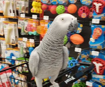 Petco