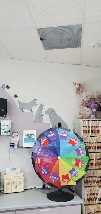 Eastlake Village Vet Clinic 12