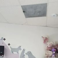 Eastlake Village Vet Clinic ico