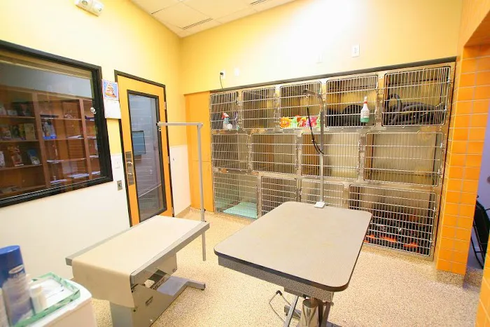 Rolling Hills Pet Hospital 7