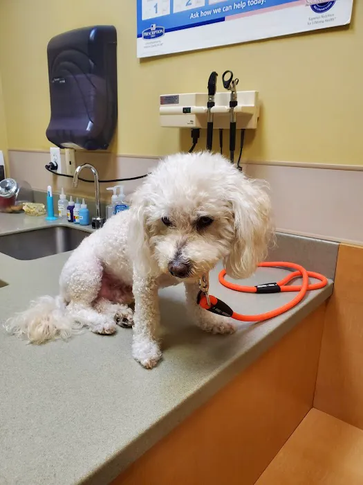 Rolling Hills Pet Hospital 2
