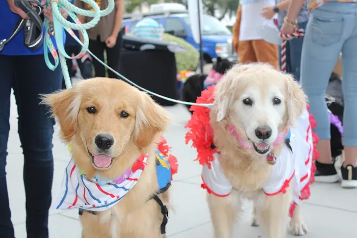 Otay Pet Vets 9
