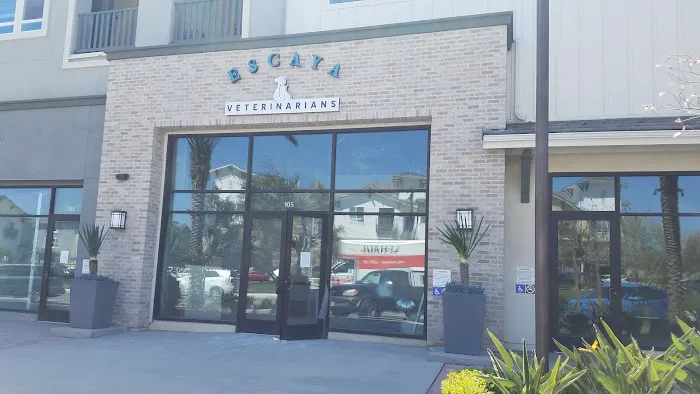 Escaya Veterinarians 8