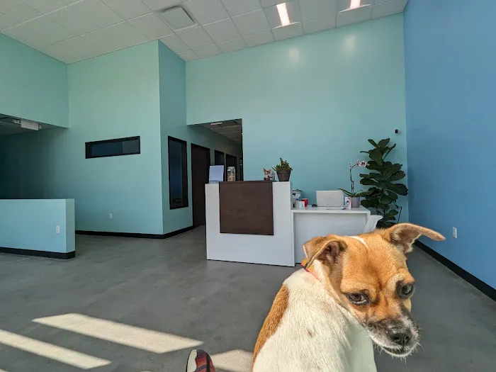 Escaya Veterinarians 5