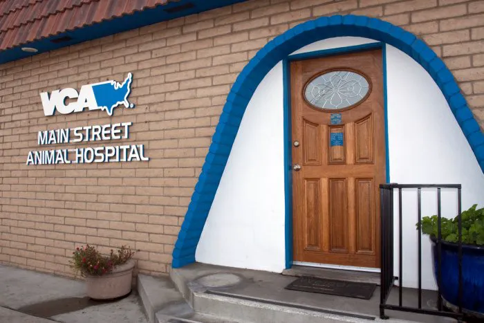 VCA Main Street Animal Hospital 3