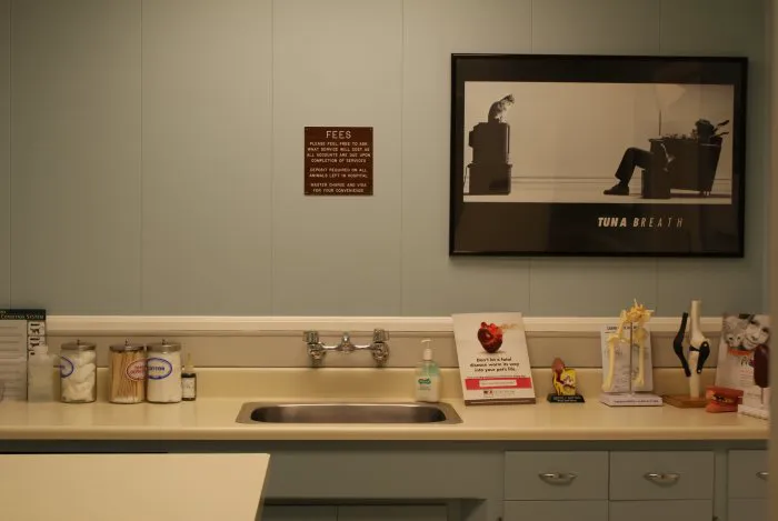 VCA Main Street Animal Hospital 6