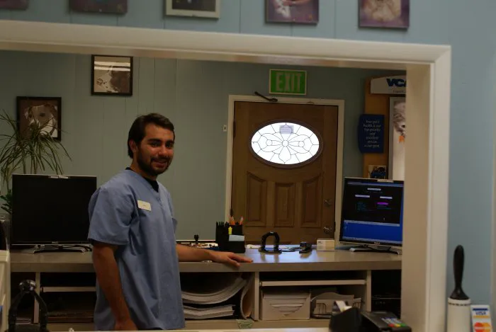 VCA Main Street Animal Hospital 2
