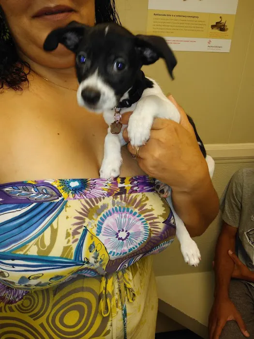 VCA Main Street Animal Hospital 9