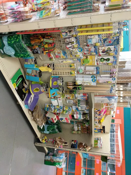 Pet Paradise 12