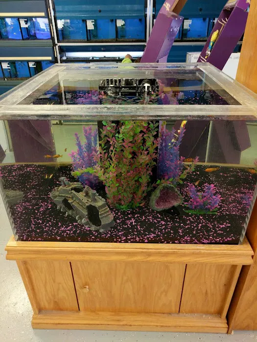 Pet Paradise 12