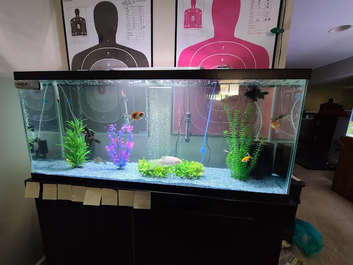 Pet Paradise 12