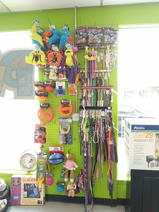 Pet Paradise 12