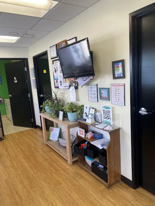 B Street Veterinary Hospital 2