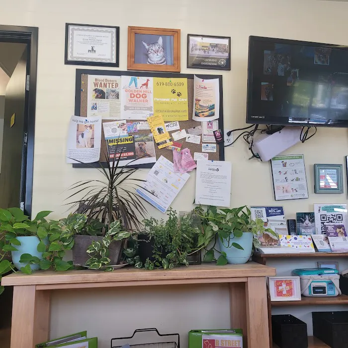 B Street Veterinary Hospital 6