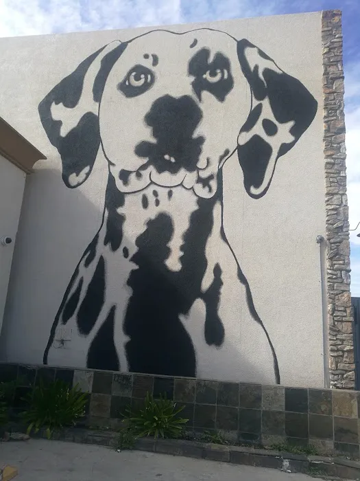 South Bay Veterinary Hospital 5