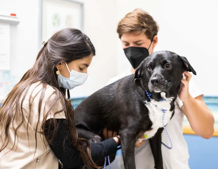 Upton Ken DVM @ Pacific Pet Hospital 1