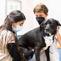 Upton Ken DVM @ Pacific Pet Hospital ico