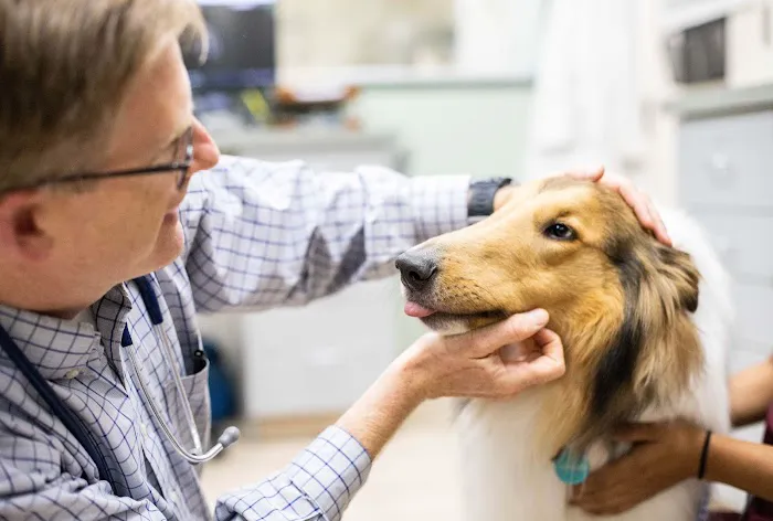 Upton Ken DVM @ Pacific Pet Hospital 4