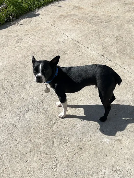 Pacific Pet Hospital 2