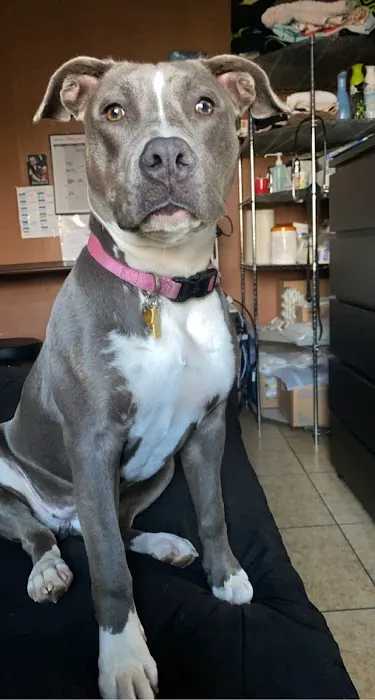 Amazon Animal Hospital 12