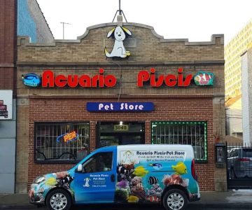 Acuario Piscis