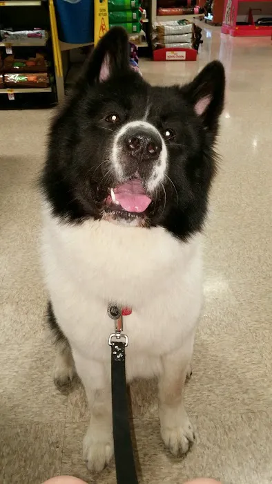 Banfield Pet Hospital 12