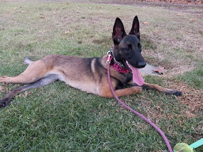 Banfield Pet Hospital 12