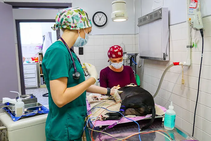 Mobley Veterinary Clinic 12