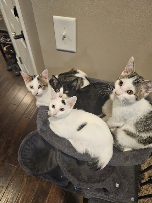 Middle Tennessee Veterinary Center 12