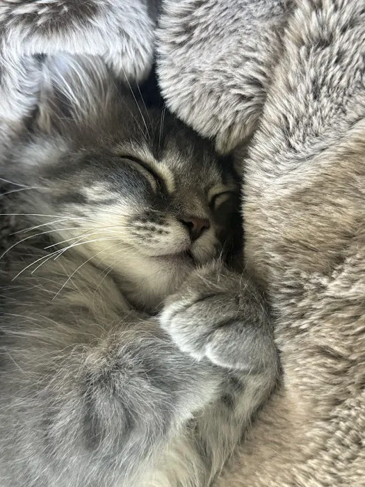 Middle Tennessee Veterinary Center 12