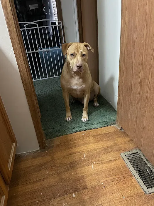 Banfield Pet Hospital 12