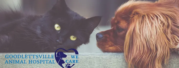 Goodlettsville Animal Hospital 12