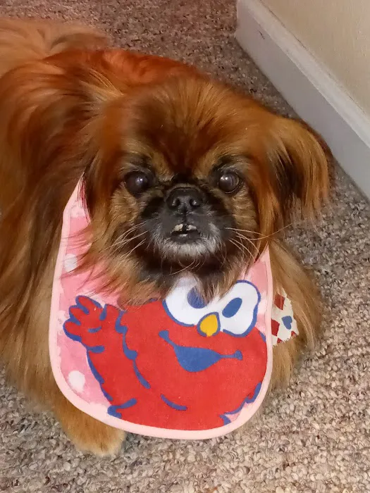 Goodlettsville Animal Hospital 12