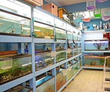 Paradise De Aves Pet Shop