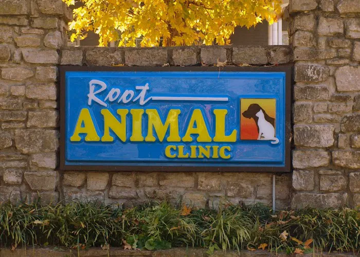 Root Animal Clinic 12