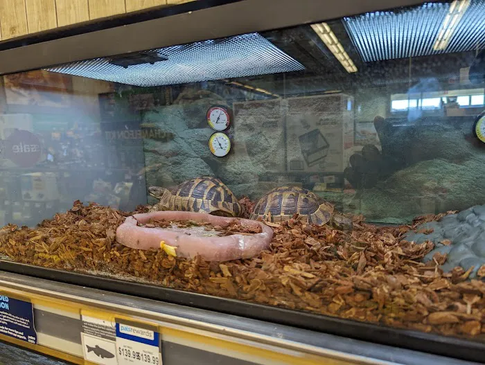 Petco 1