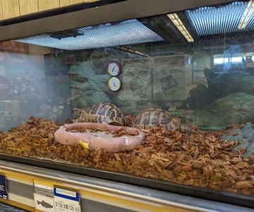Petco