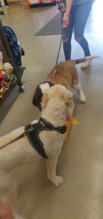 Petco 8