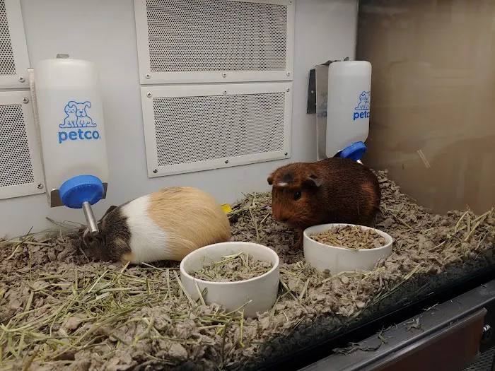 Petco 7