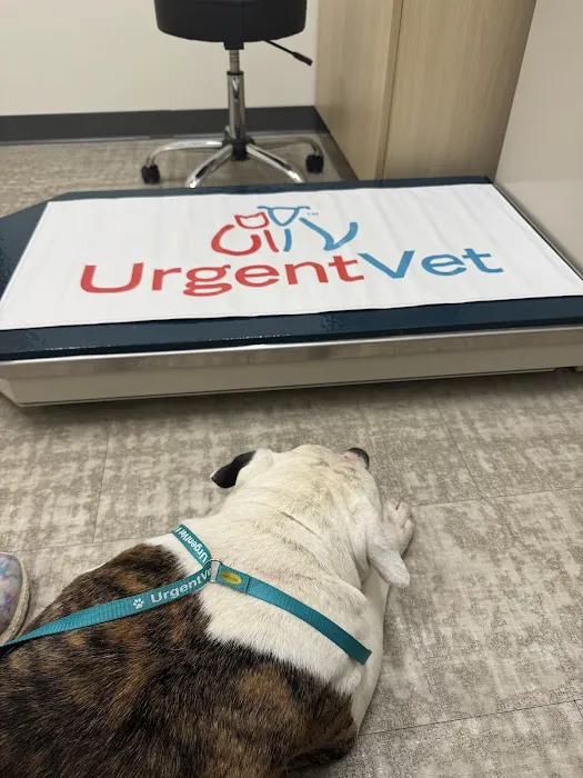 UrgentVet 12