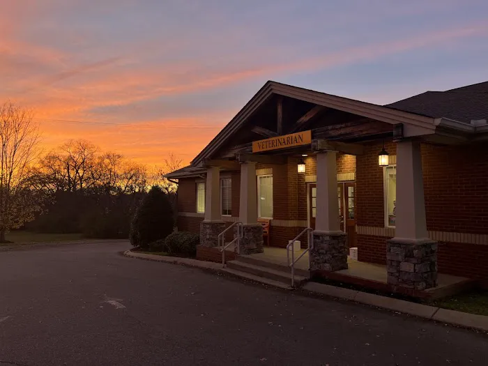 Hendersonville Animal Hospital 12