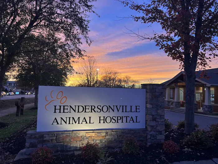 Hendersonville Animal Hospital 12