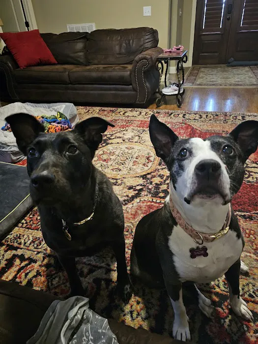 Hendersonville Animal Hospital 12