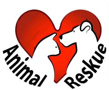 Animal Reskue