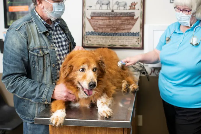 North Nashville Animal Hospital 12