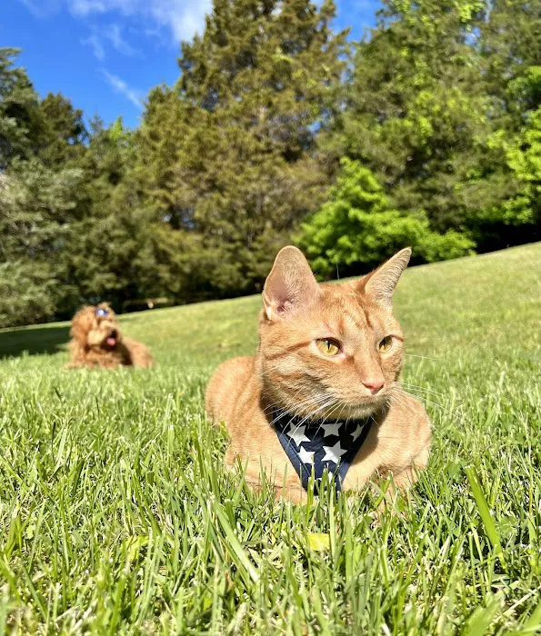 North Nashville Animal Hospital 12