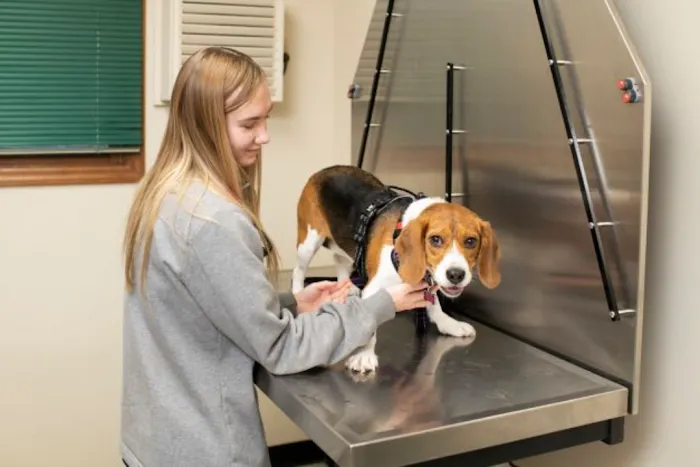 North Nashville Animal Hospital 12