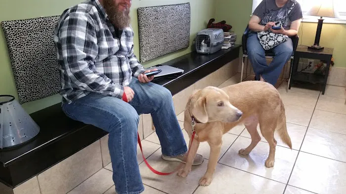 Animal House Veterinary Clinic 6
