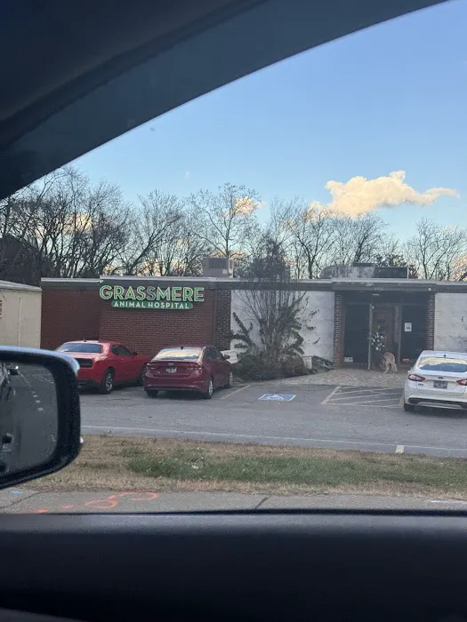 Grassmere Animal Hospital PC 12