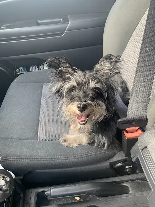 Nashville Veterinary Specialists + Animal Emergency 12
